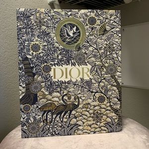 Christian Dior Paper Bag